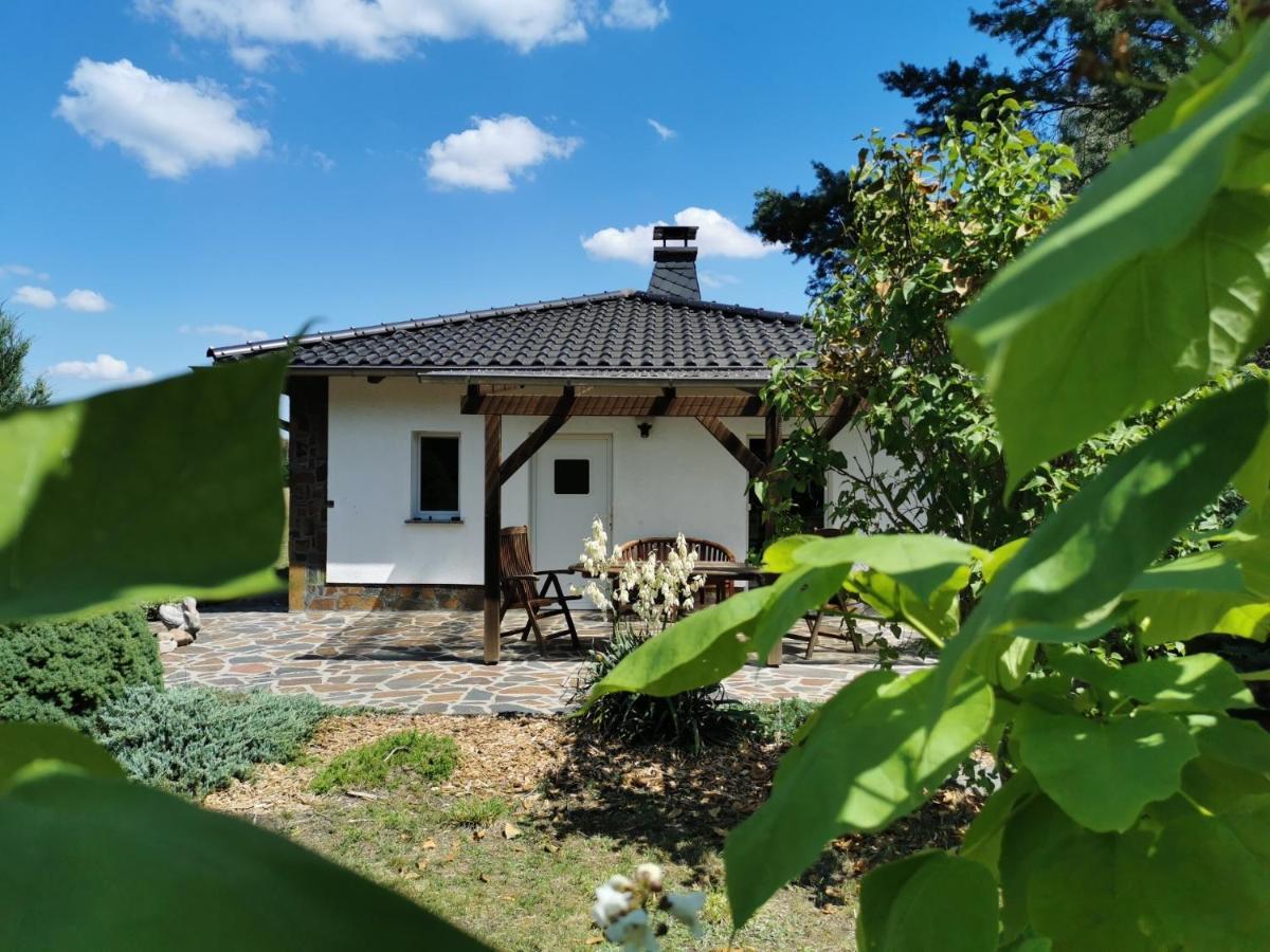 Ferienhaus Hase Bomsdorfer Hof Grafenhainichen Exterior foto
